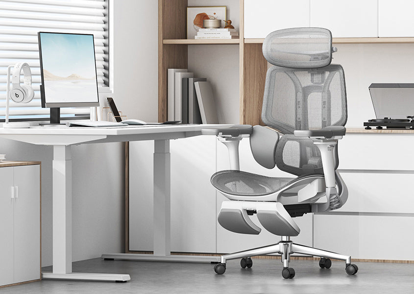 Die 4 Hauptbereiche der Ergonomie: Leitfaden für gesundes Arbeiten