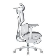 HBADA X7 Smart Ergonomic Chair Gray: AI-powered lumbar tracking for professional home offices in Europe.~0-0