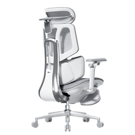 HBADA X7 Smart Ergonomic Chair Gray: AI-powered lumbar tracking for professional home offices in Europe.~0-0
