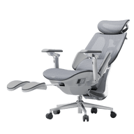 HBADA X7 Smart Ergonomic Chair Gray: AI-powered lumbar tracking for professional home offices in Europe.~0-0