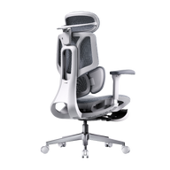 HBADA E3 Air Ergonomic Office Chairs 2026 Edition~1-1-1