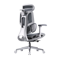 HBADA E3 Air Ergonomic Office Chairs 2026 Edition~1-1-0