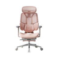 HBADA E2 PRO Ergonomic Office Chair 2026 Edition~2-0