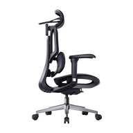 HBADA E3 Air Ergonomic Office Chairs 2026 Edition~1-0-0