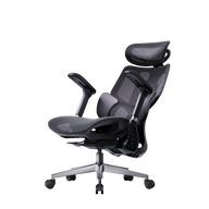 HBADA E3 Air Ergonomic Office Chairs 2026 Edition~1-0-0