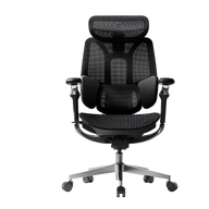 HBADA E3 Pro Ergonomic Office Chairs 2026 Edition~0-0-0