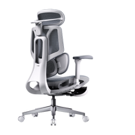 HBADA E3 Air 2026 Edition grey ergonomic office chair with dynamic lumbar support for EU professionals.~0-0