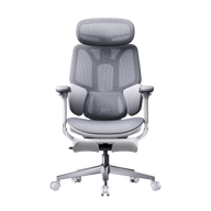HBADA E3 Air 2026 Edition grey ergonomic office chair with dynamic lumbar support for EU professionals.~0-0