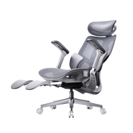 HBADA E3 Air 2026 Edition grey ergonomic office chair with dynamic lumbar support for EU professionals.~0-0