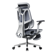 HBADA E3 Pro 2026 Edition grey ergonomic office chair with IGR-certified 3-zone lumbar support.~0-0