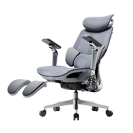 HBADA E3 Pro 2026 Edition grey ergonomic office chair with IGR-certified 3-zone lumbar support.~0-0