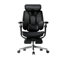 HBADA E3 Pro Ergonomic Office Chairs 4.0~0-0-1