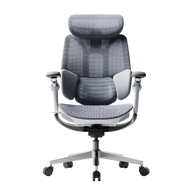 HBADA E3 Pro Ergonomic Office Chairs 2026 Edition~0-1-0