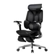 HBADA E3 Pro Ergonomic Office Chairs 4.0~0-0-1