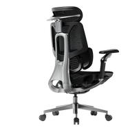 HBADA E3 Pro Ergonomic Office Chairs 2026 Edition~0-0-0