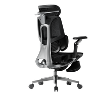 HBADA E3 Pro Ergonomic Office Chairs 4.0~0-0-1