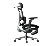 HBADA E3 Pro Ergonomic Office Chairs 4.0~0-0-1
